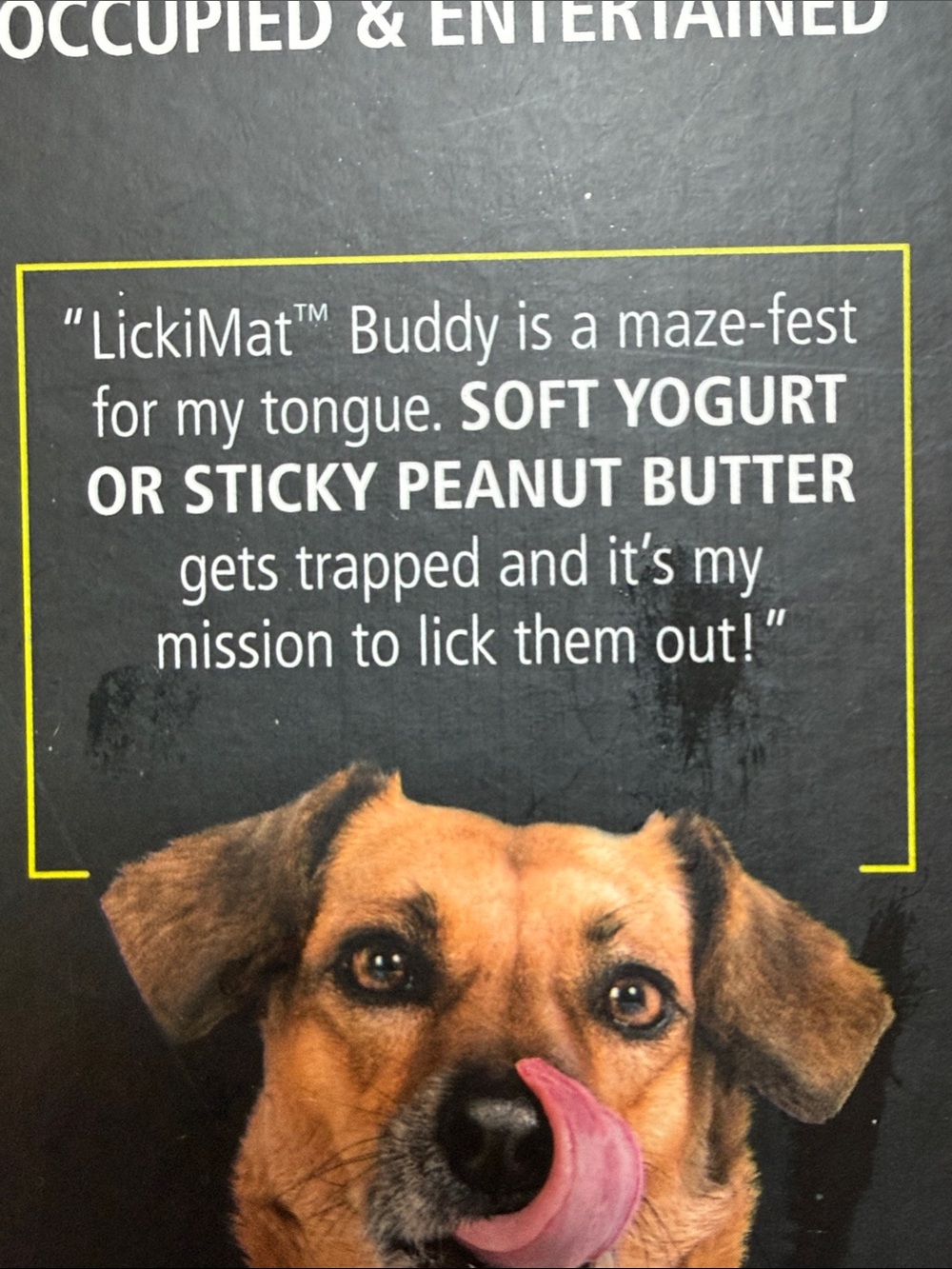 LickiMat Buddy - Orange Slow-Feed Dog Treat Mat (Small to Medium) - Picture 2 of 6